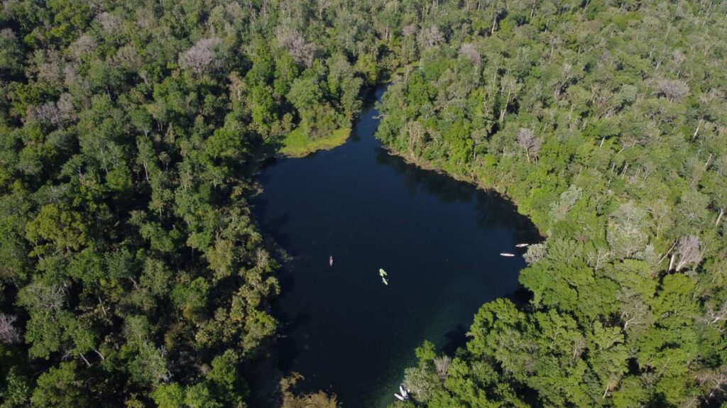Silver Springs State Park Guide: Things to Do, Tips & Tours silver springs state park